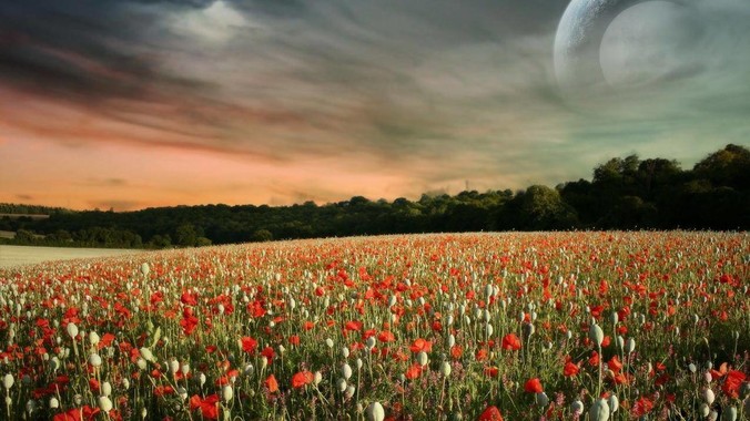 obsidian用一两年后会有多大？全文搜索还快吗？